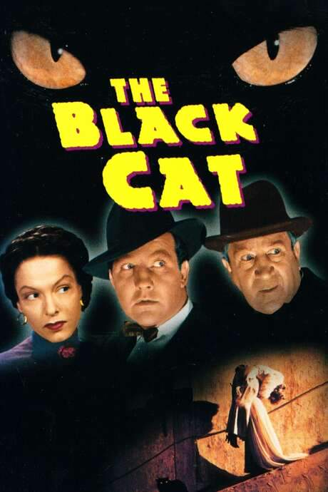 The Black Cat